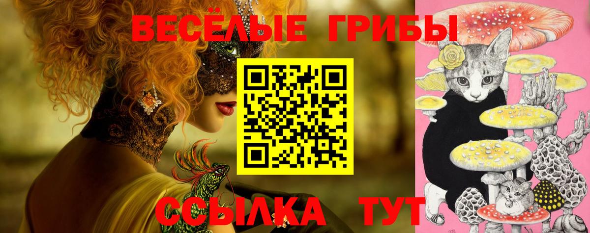 Псилоцибиновые грибы Magic Shrooms  Вход с VPN  Гусев 